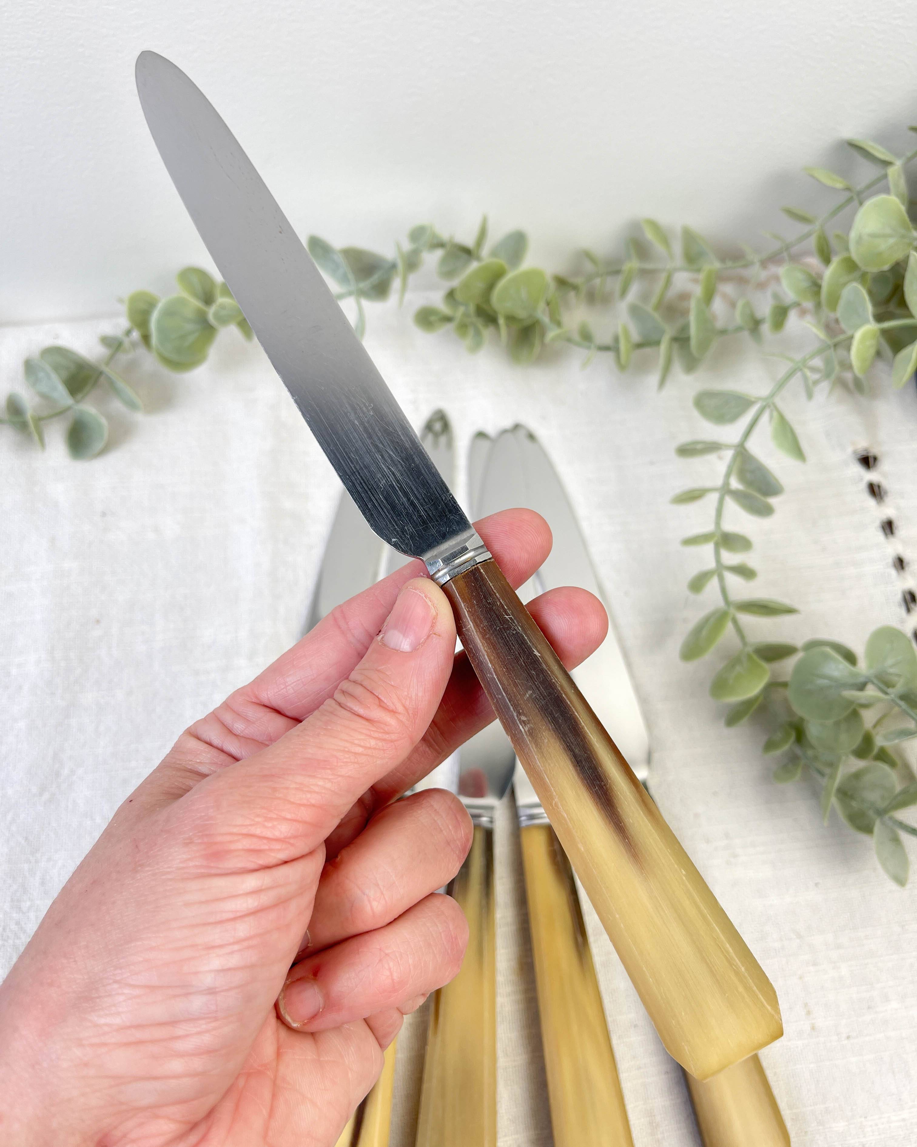Set of 6 vintage horn table knives