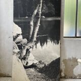 Ancienne photographie arbre noir et blanc XXL