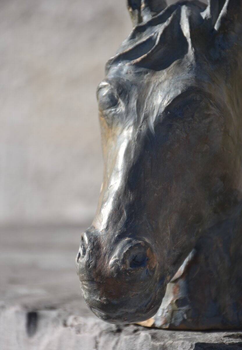 French school, Horse's head (circa 1940)