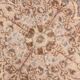 Vintage Persian Style Rug, Soft Beige Blue Medallion Handwoven Carpet