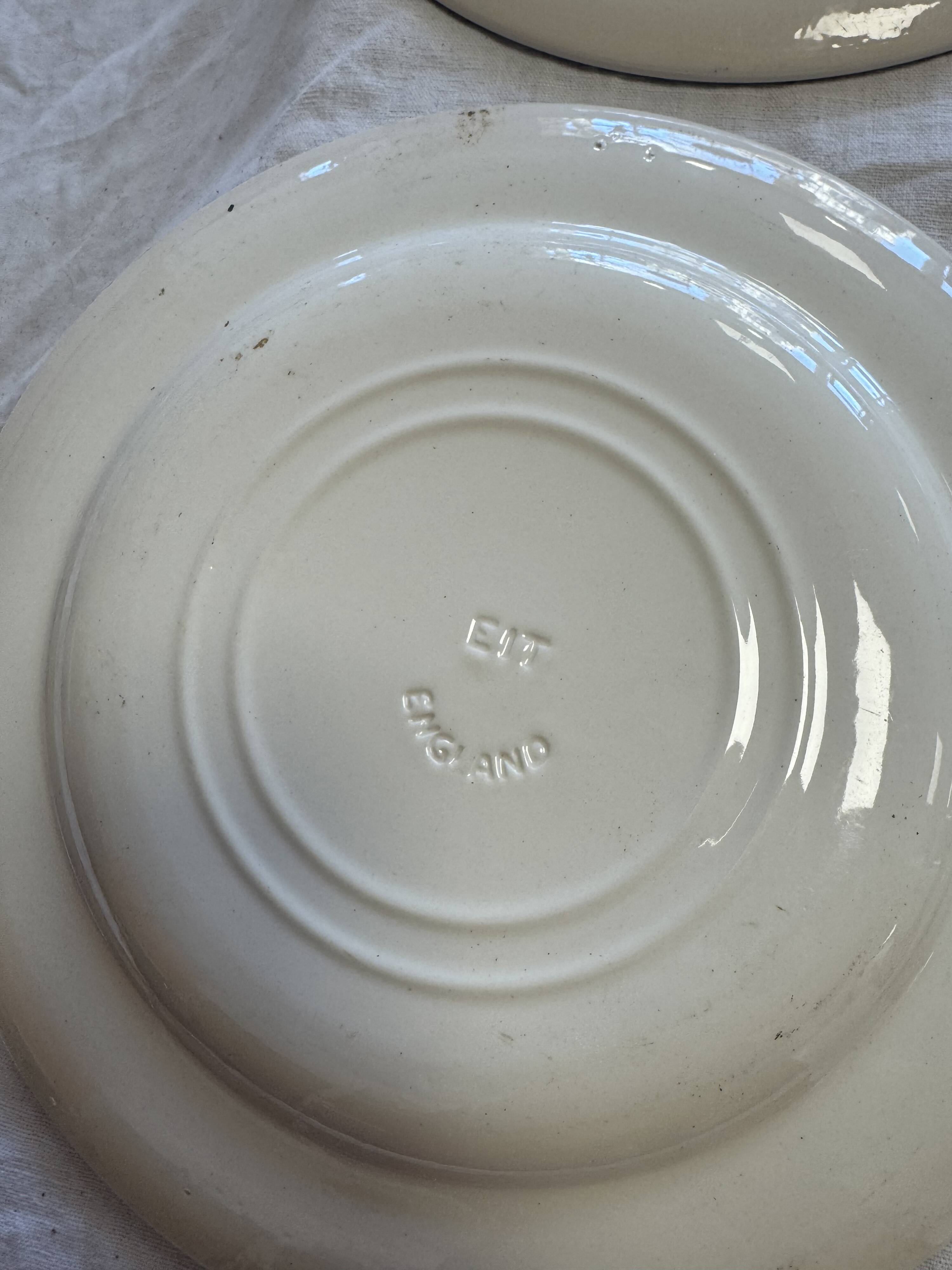 English dinner plates