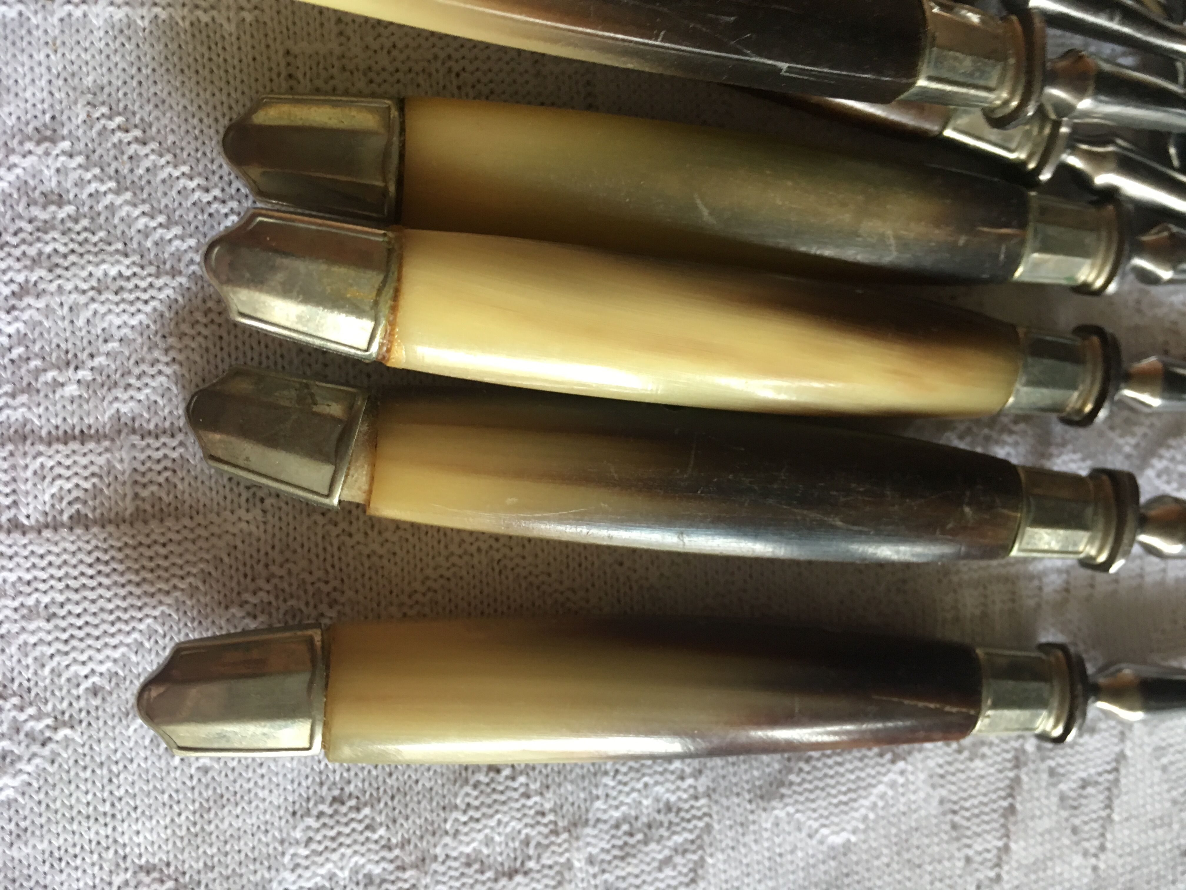 Series of dessert cutlery in stainless steel "with two lions"