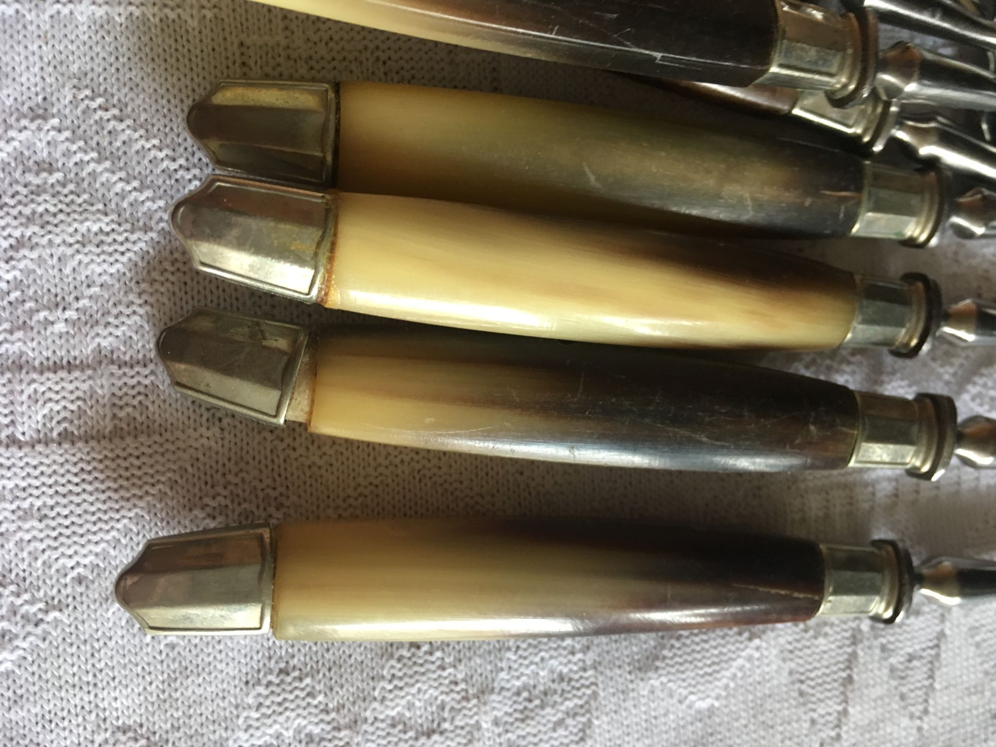Series of dessert cutlery in stainless steel "with two lions"