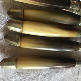 Series of dessert cutlery in stainless steel "with two lions"