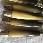Series of dessert cutlery in stainless steel "with two lions"