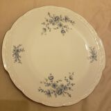Dish