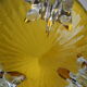 Amber vase