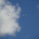 Antique gilded mirror, Louis Philippe, 45x54cm