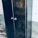 Fuchsia interior workshop cabinet