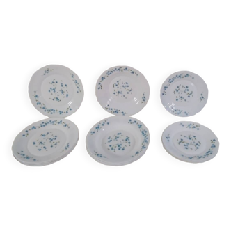 Arcopal Veronica model table service