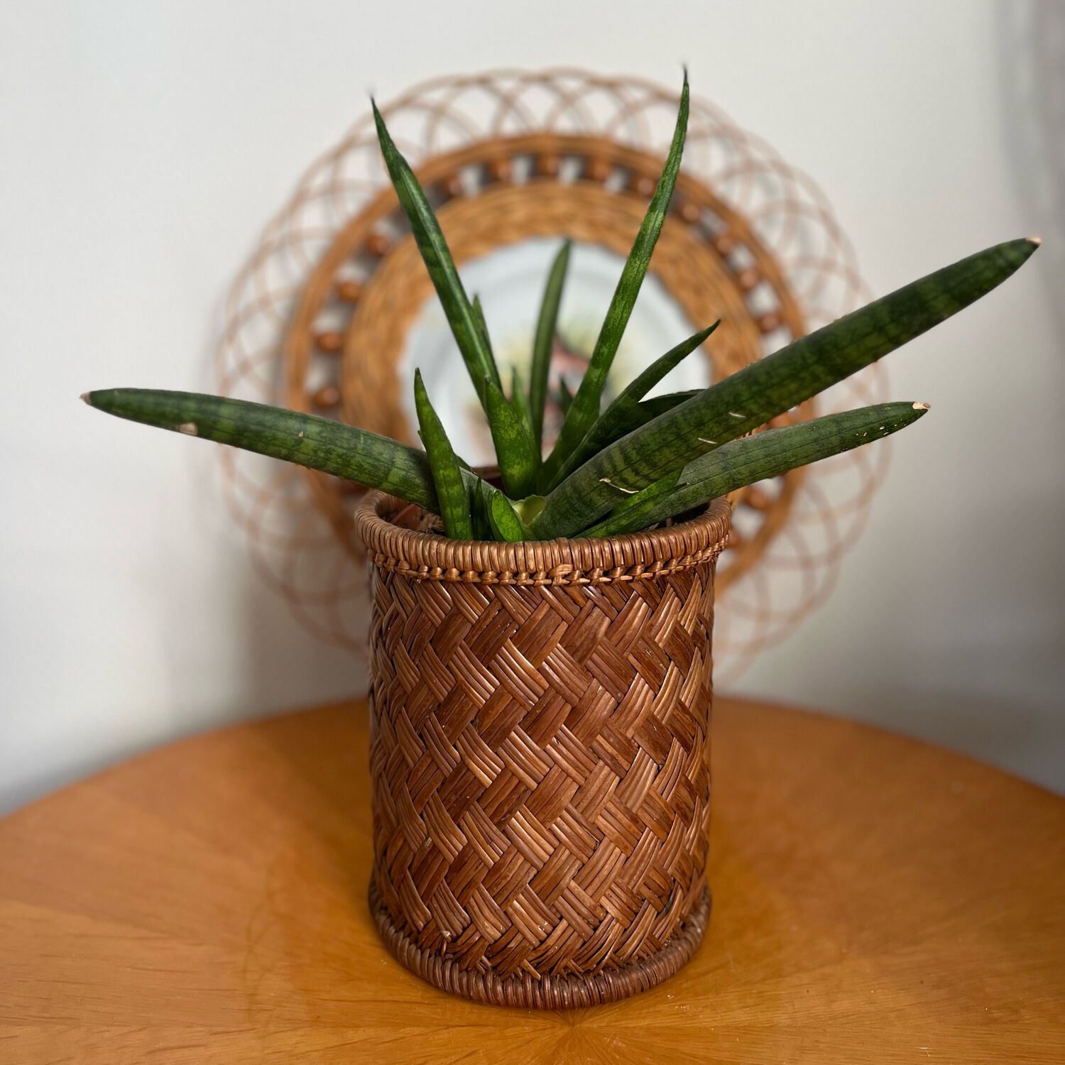 Vintage rattan pot bottle basket