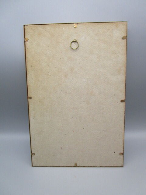 Antique botanical engraving