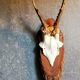 Duo of vintage hunting trophies Art-populaire 50s