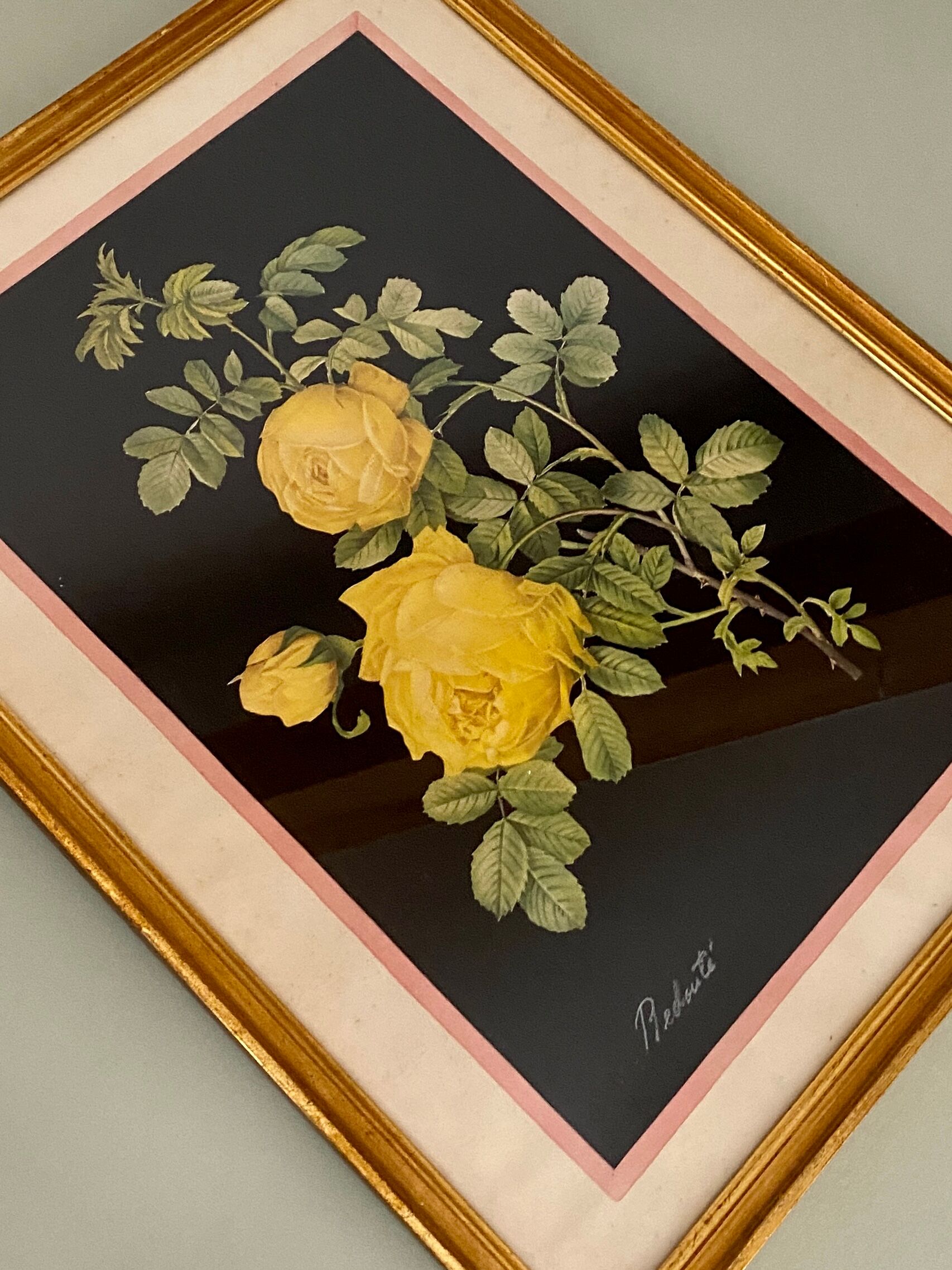 Framed poster vintage pinks yellow feared