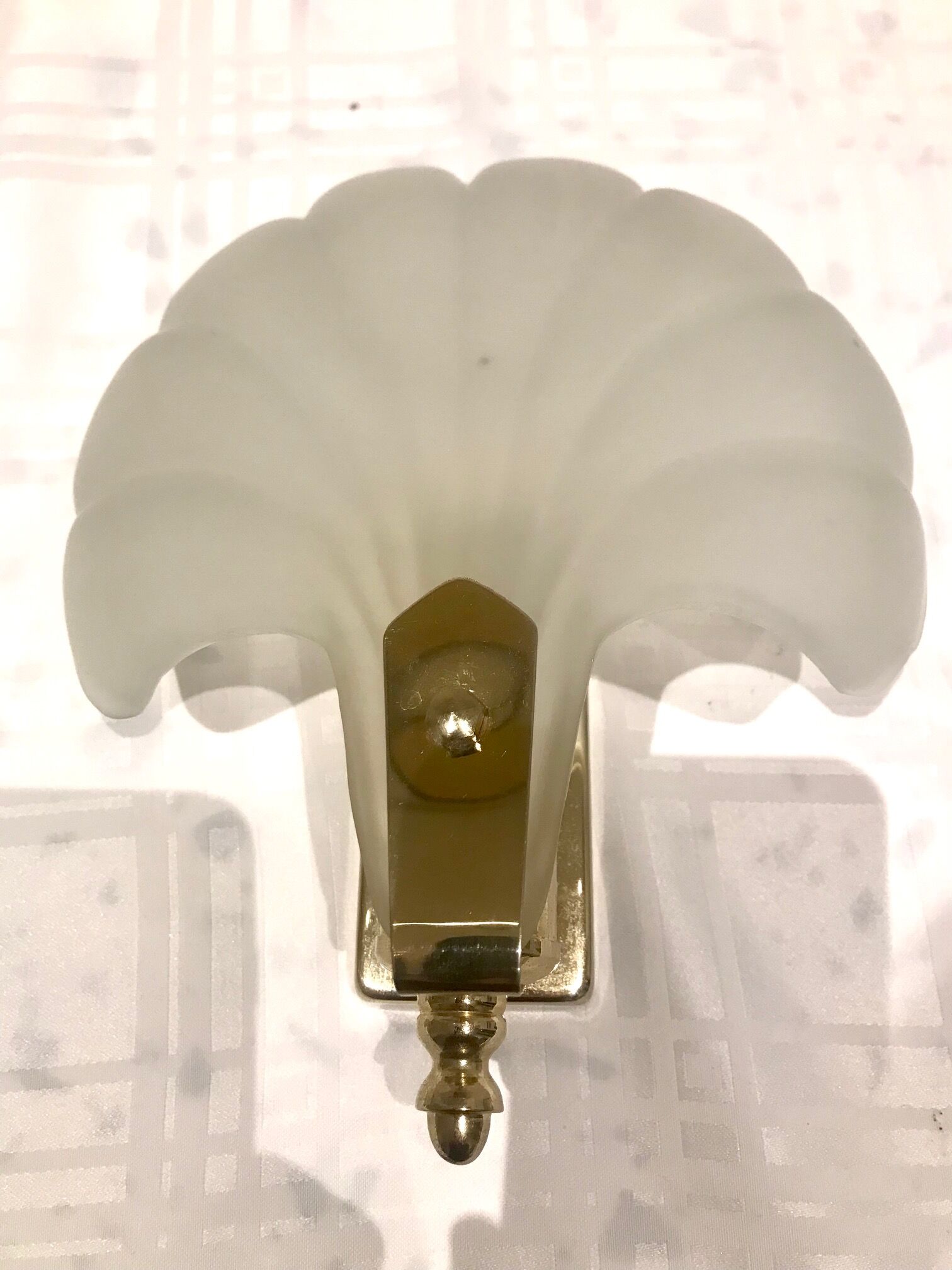 Pair of shell sconces
