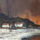 Peinture toile tableau