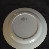 Flat plate japonnisanteCreil Monterceau