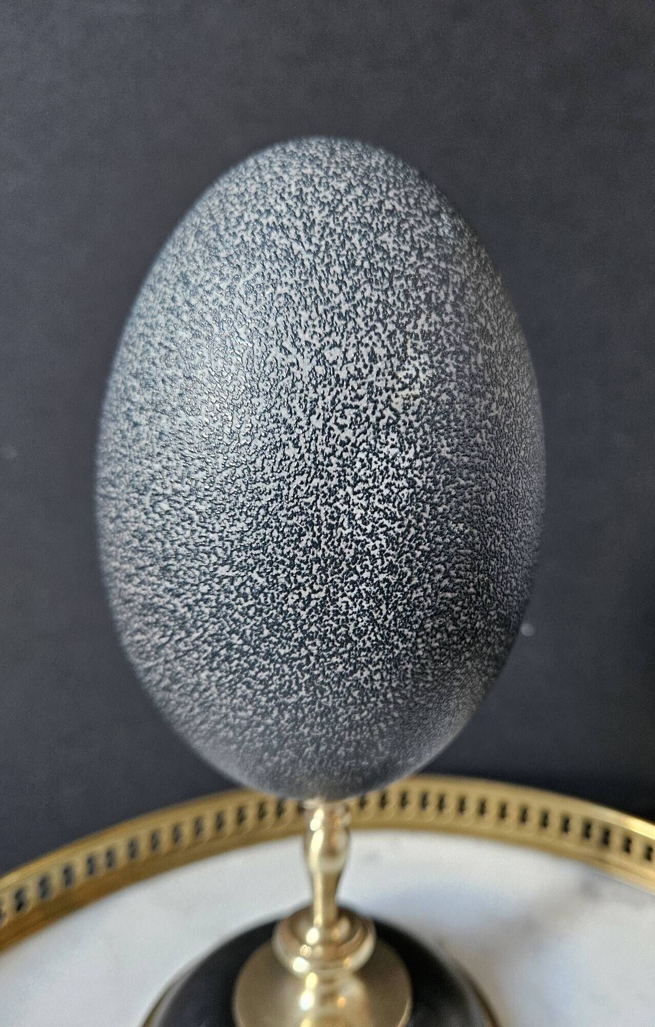 Emu Egg, Brass and Black Marble Base (Early 20th Century) H: 21 cm | Curiosity