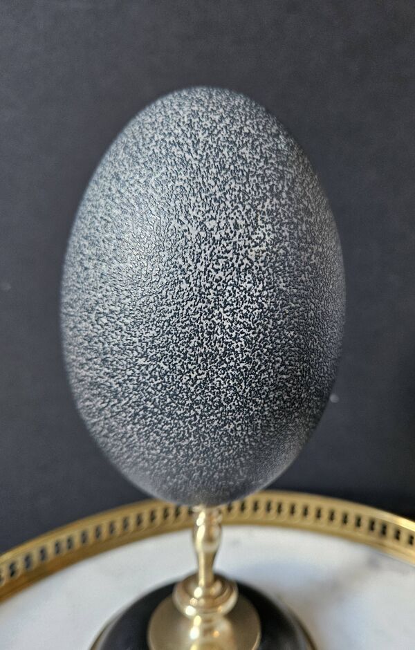 Oeuf d'Émeu, Socle Laiton et Marbre Noir (Début XXè) H : 21 cm   Curiosité