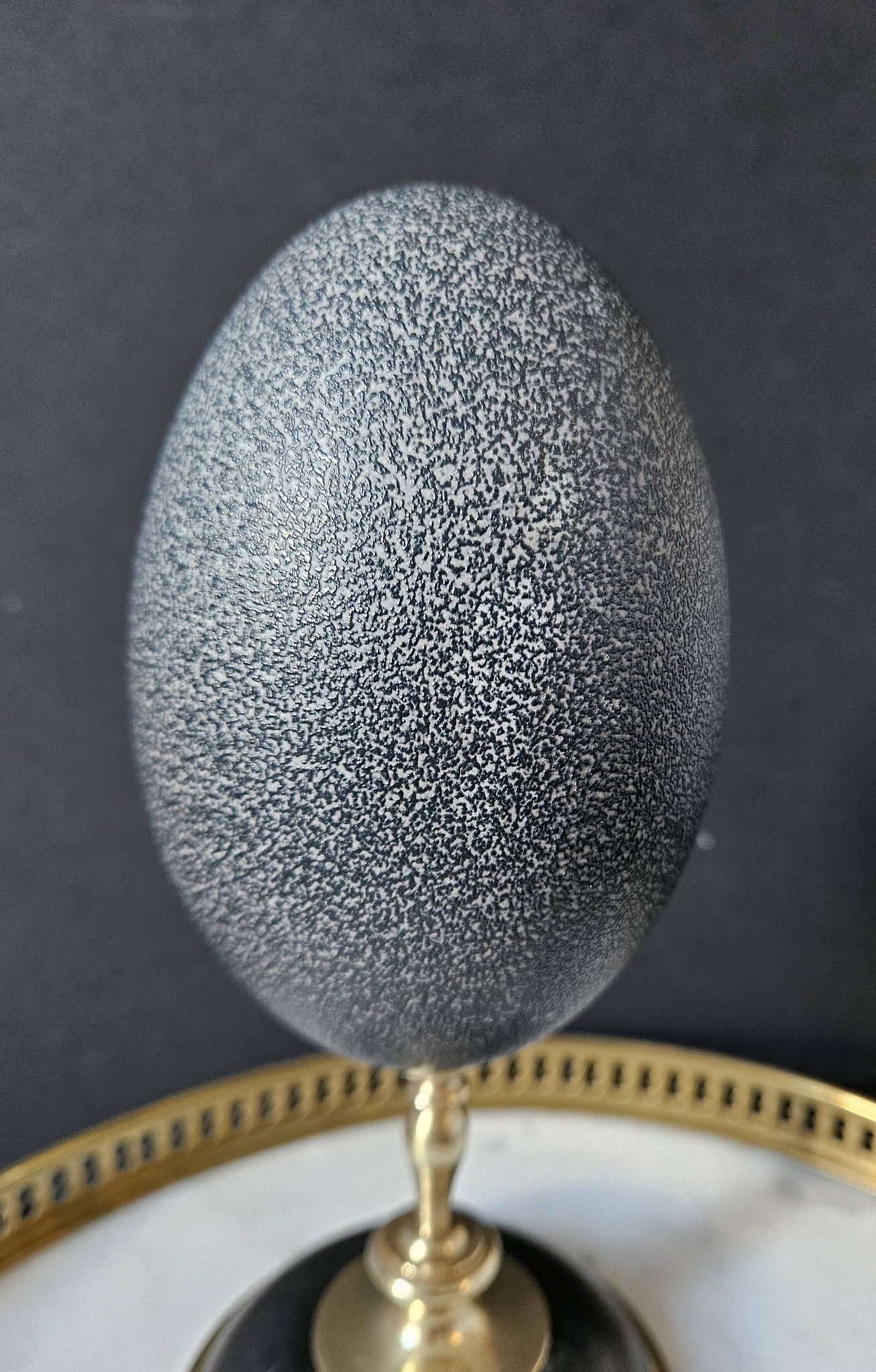 Oeuf d'Émeu, Socle Laiton et Marbre Noir (Début XXè) H : 21 cm | Curiosité
