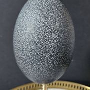 Oeuf d'Émeu, Socle Laiton et Marbre Noir (Début XXè) H : 21 cm | Curiosité