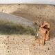 Wabi-sabi vase from the 1970s