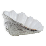 Decorative Tridacna seashell, boho style, 1980s