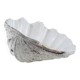 Decorative Tridacna seashell, boho style, 1980s