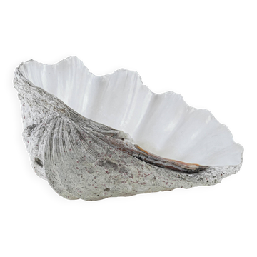Decorative Tridacna seashell, boho style, 1980s
