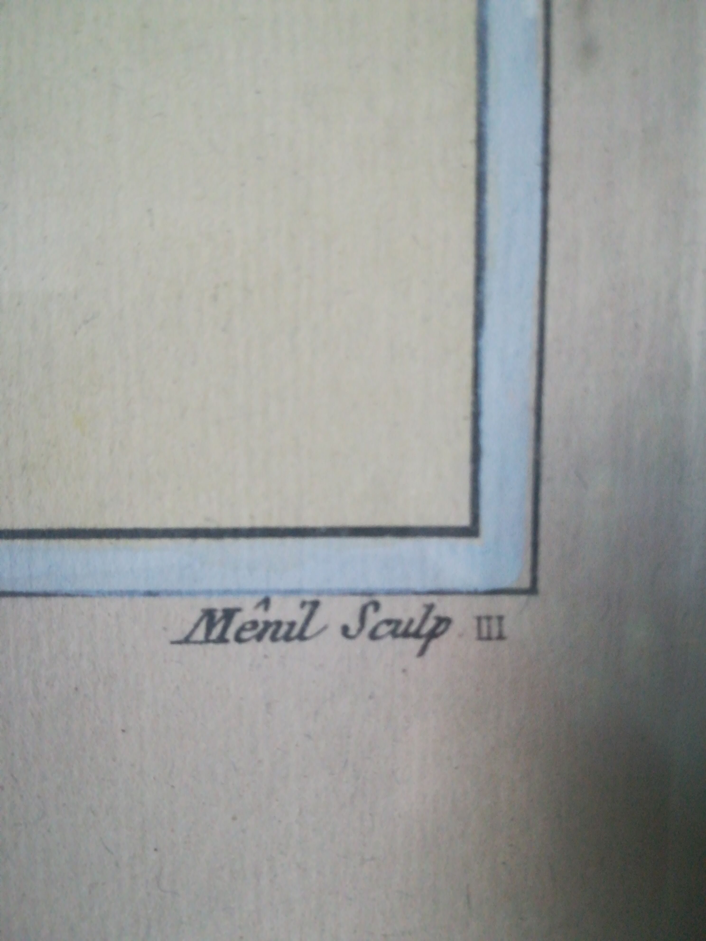 Framed botanical poster