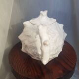 Shell teapot