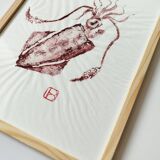 Gyotaku of a small squid
