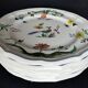 6 assiettes plates gien oiseaux de paradis