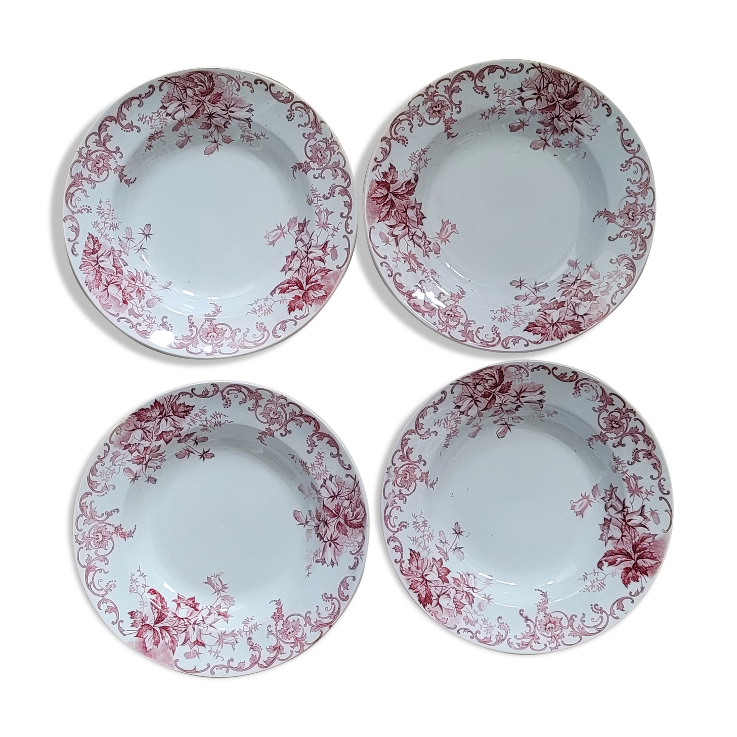 Quartet plates Campanula