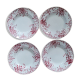 Quartet plates Campanula