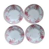 Quartet plates Campanula
