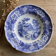 Duo of vintage Villeroy & Boch hollow plates "Burgenland"