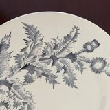 Longchamp ironstone plate, Chardon model