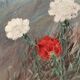 Peinture vintage aux oeillets