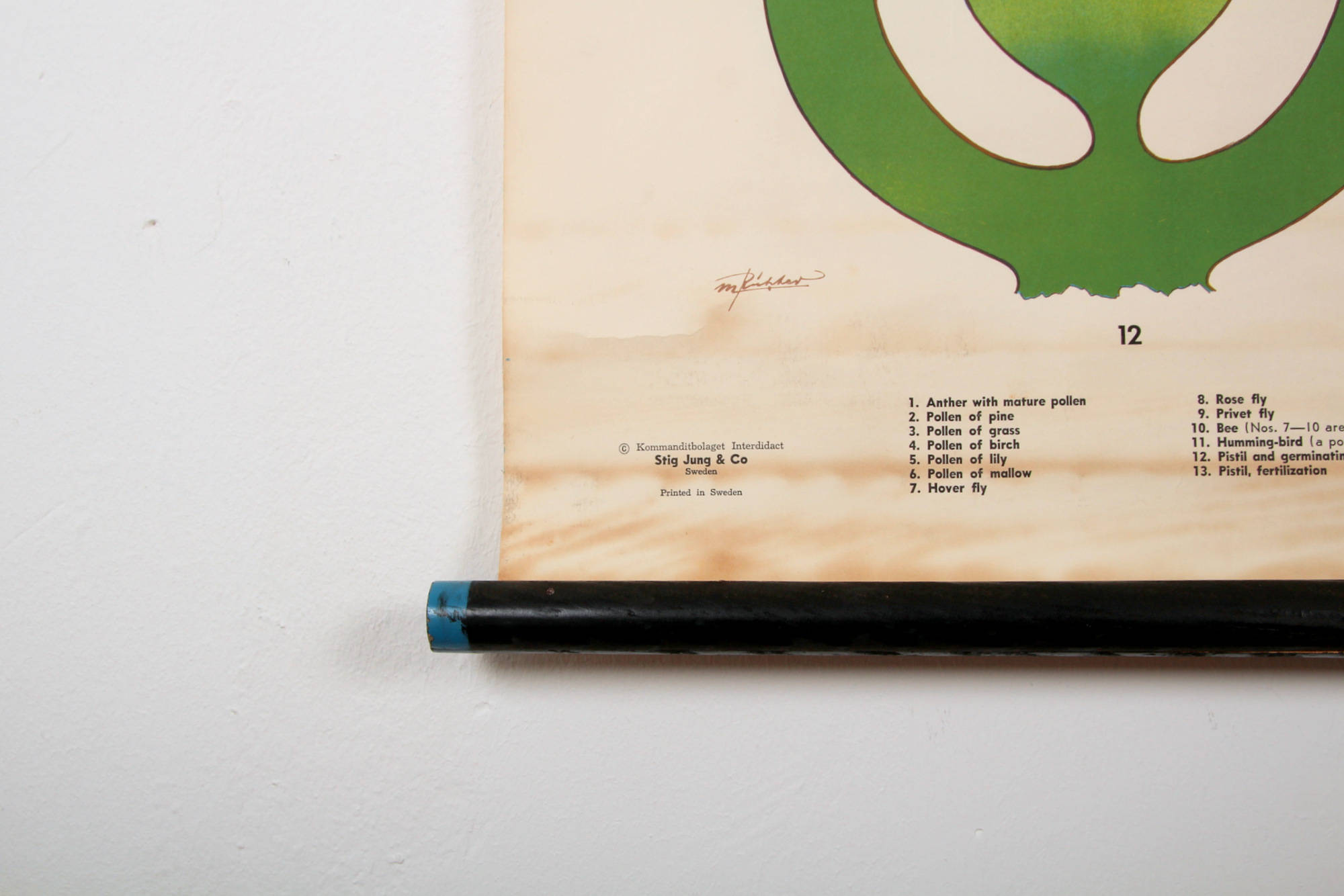 Poster pollination Stig Jung, Sweden 1960