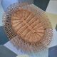 Oval rattan mirror