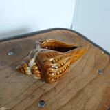 Ashtray shell signed numbered