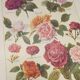 Gravure Originale de 1922 - Roses - Planche ancienne de  fleurs de J.M Dessertenne