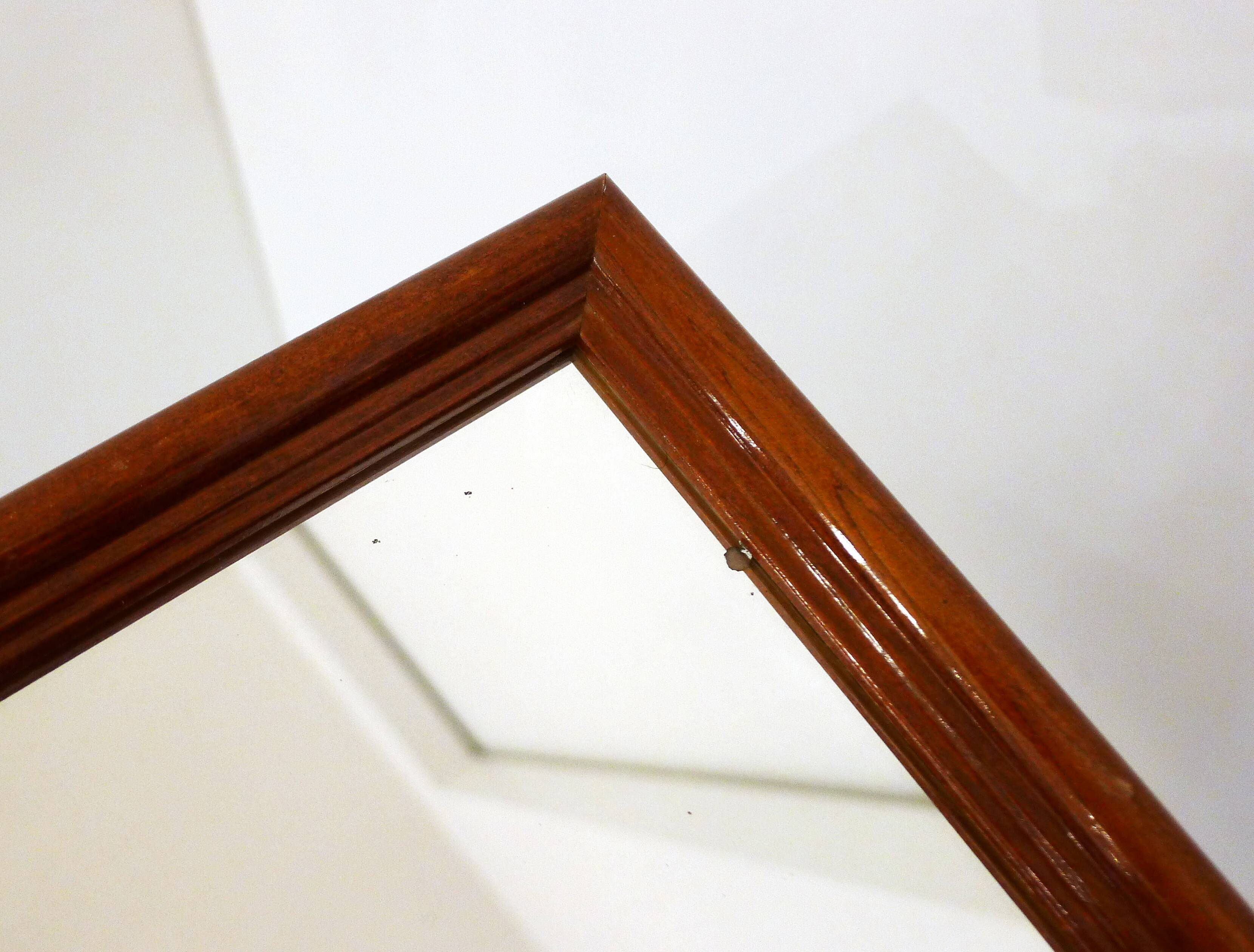 Wall mirror décor golden coconuts