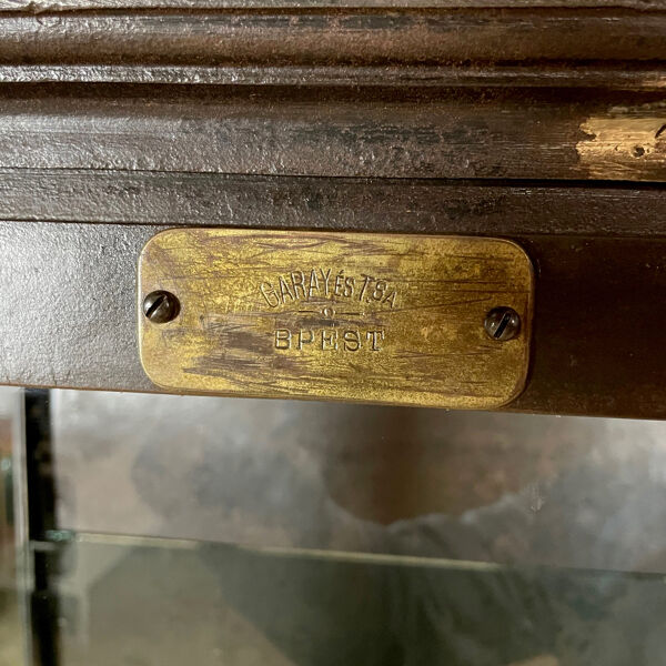 Cabinet médical en fer poli, années 1910