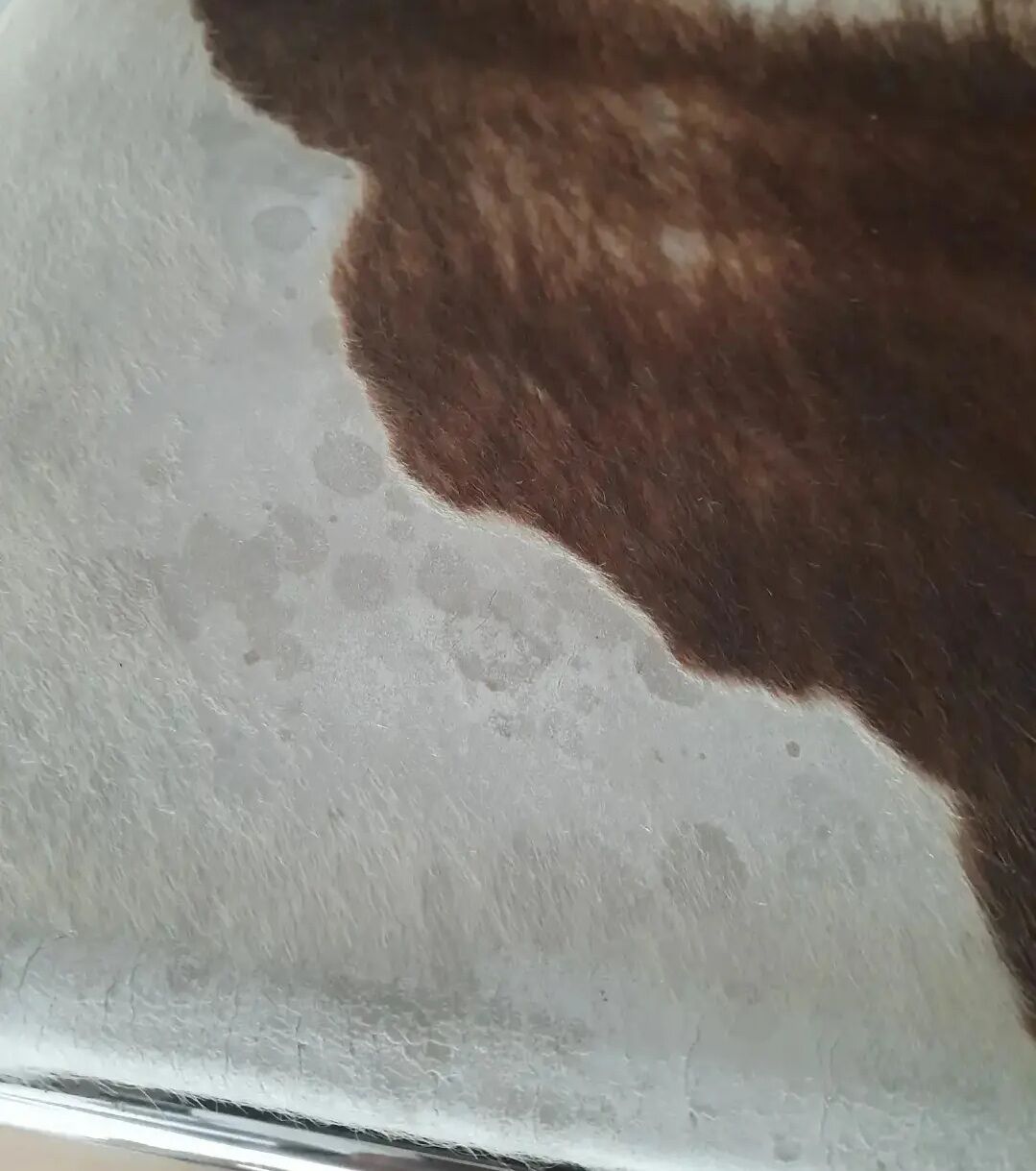 Armchair Le Corbusier Lc1 original pony skin