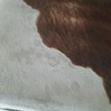 Armchair Le Corbusier Lc1 original pony skin