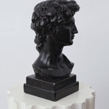 David head in black waxed plaster