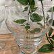 Set of 6 engraved wine glasses