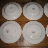 Lot of 8 plates flat and hollow earthenware to décor floral 60s/70s Digoin Sarreguemines